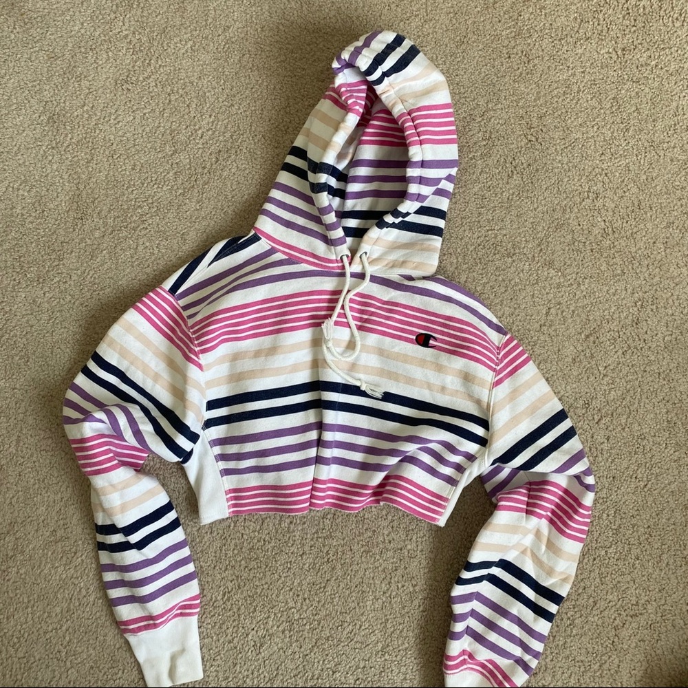 Champion Reverse Weave Cropped Hoodie